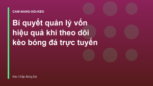 Read more about the article Bí quyết quản lý vốn hiệu quả khi theo dõi kèo bóng đá trực tuyến