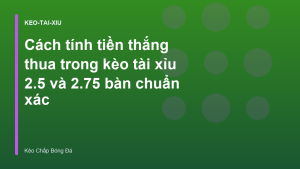 Read more about the article Cách tính tiền thắng thua trong kèo tài xỉu 2.5 và 2.75 bàn chuẩn xác